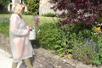 pic01 dirtydoctor watering my plants pt1 - Watering My Plants Pt1