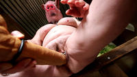 pic01 marybitch the pig slut dildoing her holes pt1 - The Pig Slut Dildoing Her Holes Pt1