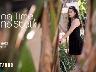 Long Time, No Stalk Long Time, No Stalk