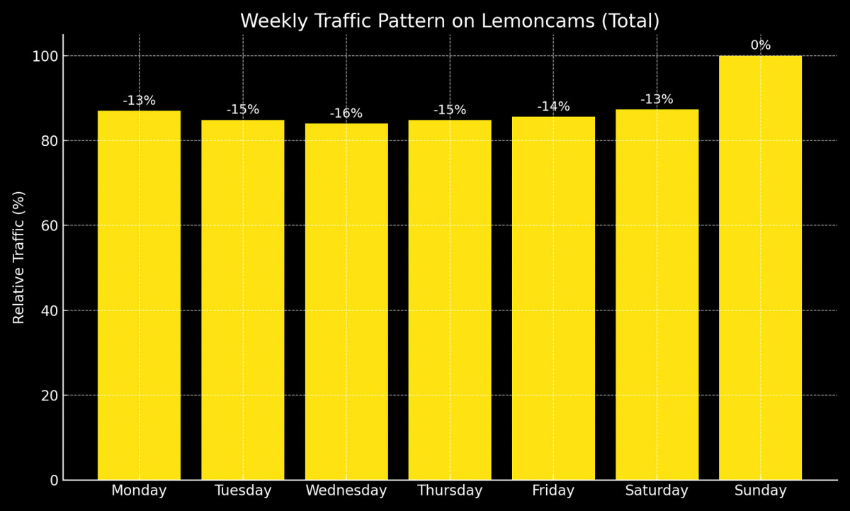Global Viewing Trends of the Audience Lemoncams